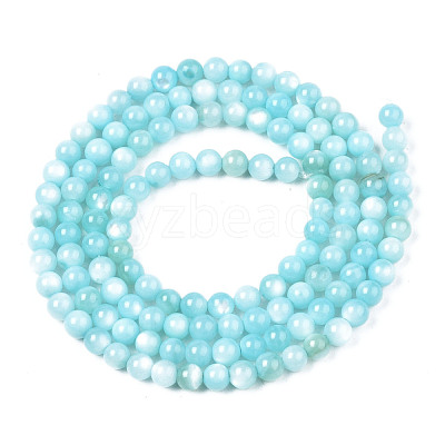 Natural Freshwater Shell Beads Strands BSHE-T009A-01E-1
