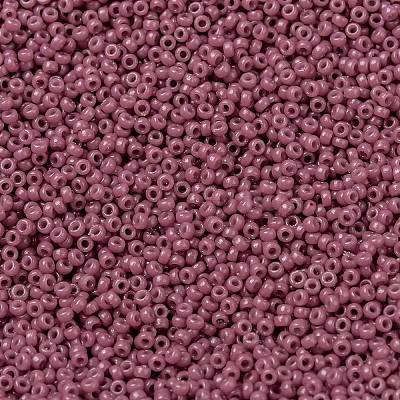 MIYUKI Round Rocailles Beads X-SEED-G009-RR4487-1