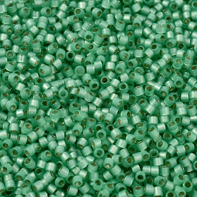MIYUKI Delica Beads SEED-J020-DB2188-1