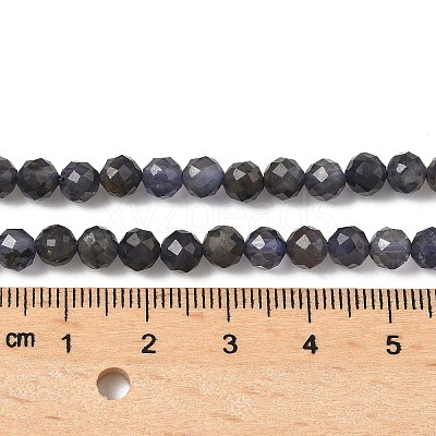 Natural Iolite Beads Strands G-J400-E05-02B-1