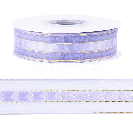 Polyester Lace Ribbon OCOR-TADJ0001-07H-1