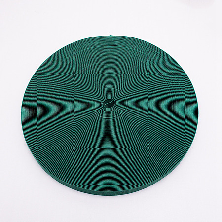 Polyester Resistance Elastic Cord EW-WH0003-03F-1