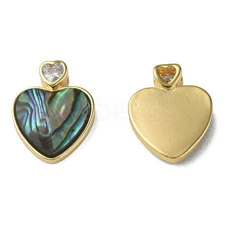 Synthetic Abalone Shell/Paua Shell Charms KK-N233-212-1