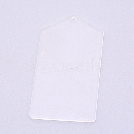 Transparent Acrylic Big Pendants TACR-WH0001-32B-1