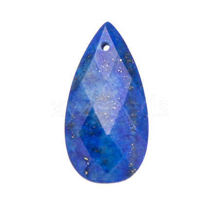 Natural Lapis Lazuli Pendants PW-WGD145F-10-1