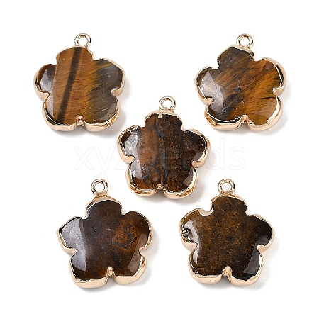 Natural Tiger Eye Pendants G-P566-01G-07-1