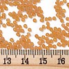 (Repacking Service Available) Glass Seed Beads SEED-C017-2mm-M2-3