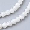 Natural Freshwater Shell Bead Strands SHEL-S249-29-2