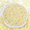 Opaque Colours Luster Glass Seed Beads SEED-K010-04H-3