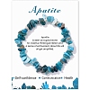 Natural Apatite Chips Beaded Stretch Bracelets PW-WG309C1-03-1