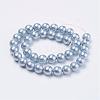 Wrinkle Textured Shell Pearl Beads Strands BSHE-E016-10mm-M-2