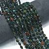 Natural Bloodstone/Heliotrope Stone Beads Strands G-K389-B04-01-2