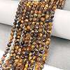 Natural Tiger Eye Beads Strands G-C127-A06-06-2