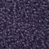 TOHO Round Seed Beads X-SEED-TR11-0019F-2