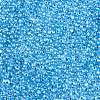 6/0 Baking Paint Transparent Fringe Glass Seed Beads X1-SEED-N006-06L-3