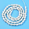 Natural Cultured Freshwater Pearl Beads Strands PEAR-N014-03H-3