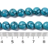 Synthetic Turquoise Beads Strands G-L605-G01-02B-5