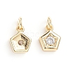 Brass Micro Pave Cubic Zirconia Pendants X-ZIRC-G165-06G-3