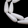 Natural Freshwater Shell Beads Strands SHEL-A004-03-4