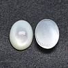 Shell Cabochons SSHEL-P015-59F-2