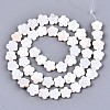 Natural Freshwater Shell Beads Strands SHEL-S276-111-2