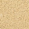 MIYUKI Round Rocailles Beads SEED-G007-RR0493-2
