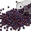 TOHO 6/0 Round Beads SEED-TR06-0704-1