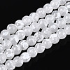 Baking Paint Glass Beads Strands DGLA-N015-4mm-01-1