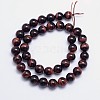 Natural Tiger Eye Round Bead Strands G-L411-06-6mm-2