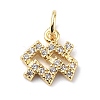 Brass Micro Pave Cubic Zirconia Charms ZIRC-F131-16G-04-1