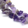 Natural Amethyst Beads Strands X-G-P332-07-2