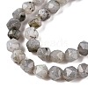 Natural Grey Labradorite Beads Strands G-T138-225-3