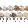 Natural Crazy Lace Agate Beads Strands G-NH0004-032-5
