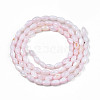 Natural Freshwater Shell Beads Strands X-SHEL-N003-25-B06-2