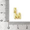 Rack Plating Brass Charms KK-C053-04G-M-3