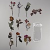 11Pcs 11 Styles PET Waterproof Stickers AJEW-WH0282-45-1