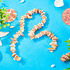 1 Strand Natural Seashell Shell Beads Strands SSHEL-TA0001-13-5