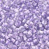 Transparent Glass Round Seed Beads SEED-B001-05A-28-3