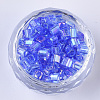 6/0 Glass Seed Beads SEED-S027-06B-06-2