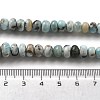 Natural Larimar Beads Strands G-Q024-E03-01-5