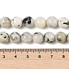 Natural Rainbow Moonstone Beads Strands G-H093-B01-10MM-4