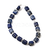 Natural Lapis Lazuli Beads Strands G-Z087-D01-3