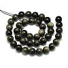 Natural Golden Sheen Obsidian Beads Strands G-S150-20-10mm-2