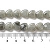 Natural Labradorite Beads Strands G-R190-10mm-35-5