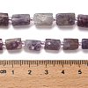 Natural Lepidolite/Purple Mica Stone Beads Strands G-K245-I16-01-5