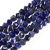 Natural Sodalite Beads Strands G-E560-B02-1