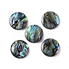 Natural Paua Shell Epoxy Resin Cabochons SSHEL-S279-01A-1