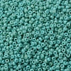 MIYUKI Round Rocailles Beads X-SEED-G007-RR4475-3