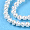 Natural Nucleated Pearl Beads Strands PEAR-N016-02B-4