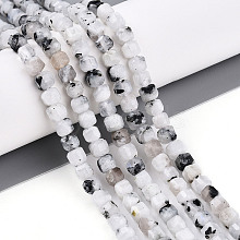 Natural Rainbow Moonstone Beads Strands G-T141-66